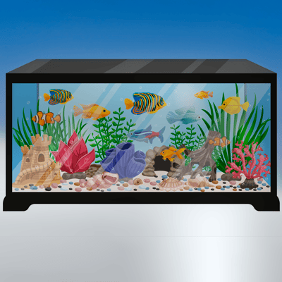 Aquarium & Pets Shop in Goa